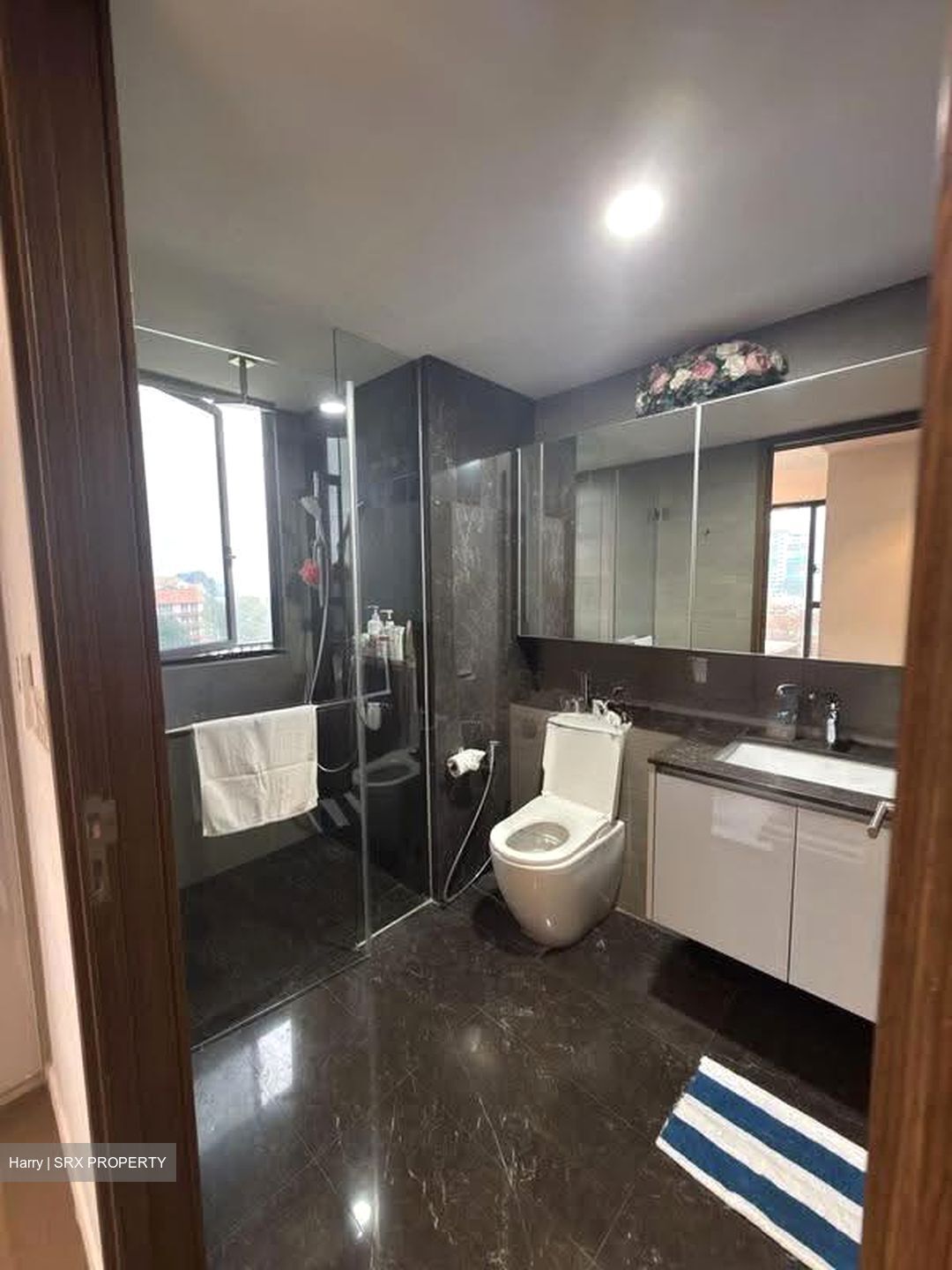 Parc Esta (D14), Apartment #625507811
